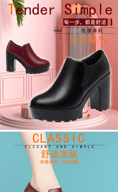 Comfortable Thick Bottom Deep Mouth Soft Leather Shoes 2024 Spring Block High Heels Single Shoes for Office Model Dance