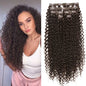 Synthetic Curly Clip-In Hair Extensions For Women Weave 4PCS Full Head Organic Fake Hair Ombre Brown Blonde Thick Hairpieces